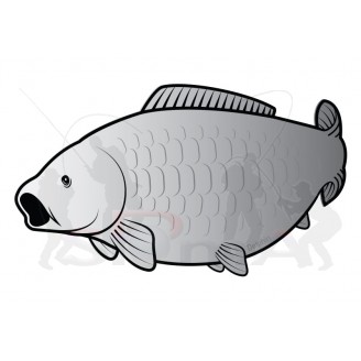 Nálepka kapr SILVER